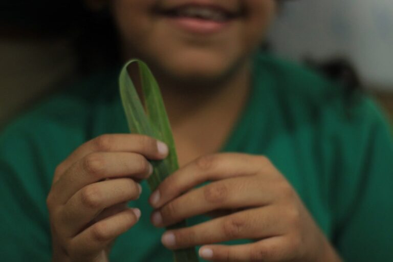  Educação em Saúde nas escolas